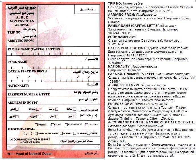 Новые правила въезда в египет для россиян в 2021 году из-за коронавируса