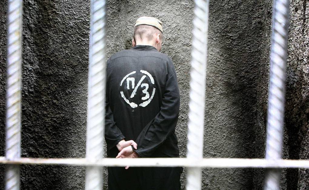 Проблемы применения наказания в виде пожизненного лишения свободы в российской федерации