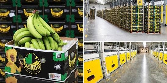 Свой бизнес: перевозка бананов. транспортировка и продажа бананов в россии