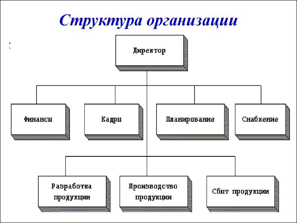 Организационная структура управления предприятием: виды и особенности выбора