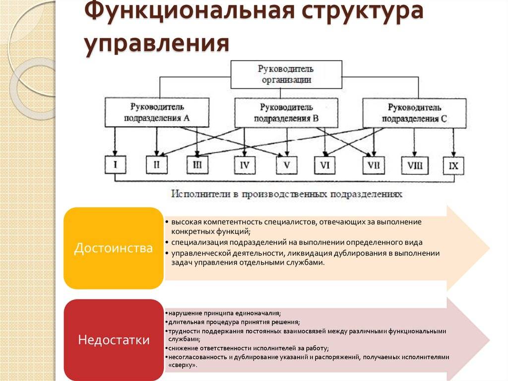 Линейно-функциональная структура управления: схема :: syl.ru