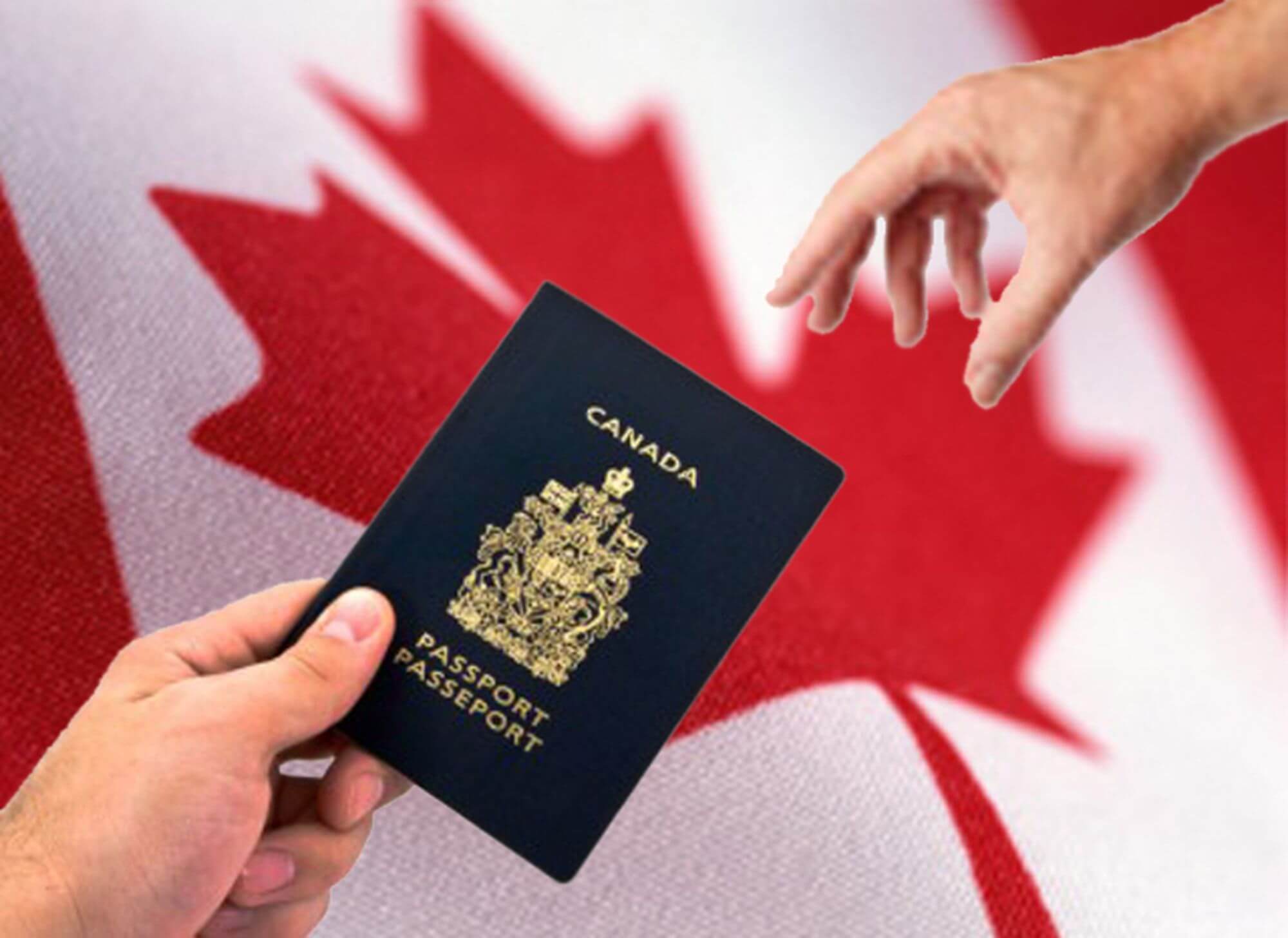 Получение гражданства канады: способы, документы, особые условия