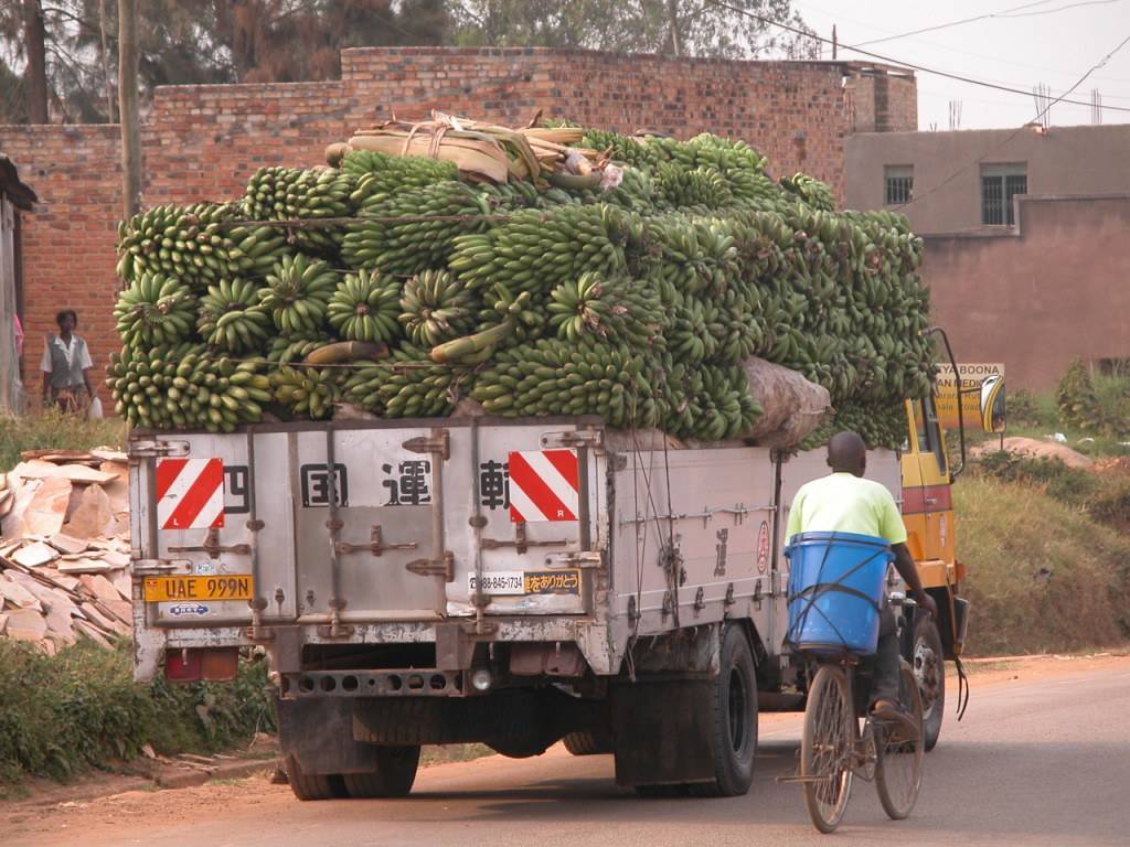 Перевозка (транспортировка) фруктов и овощей с компанией «рефперевозка»