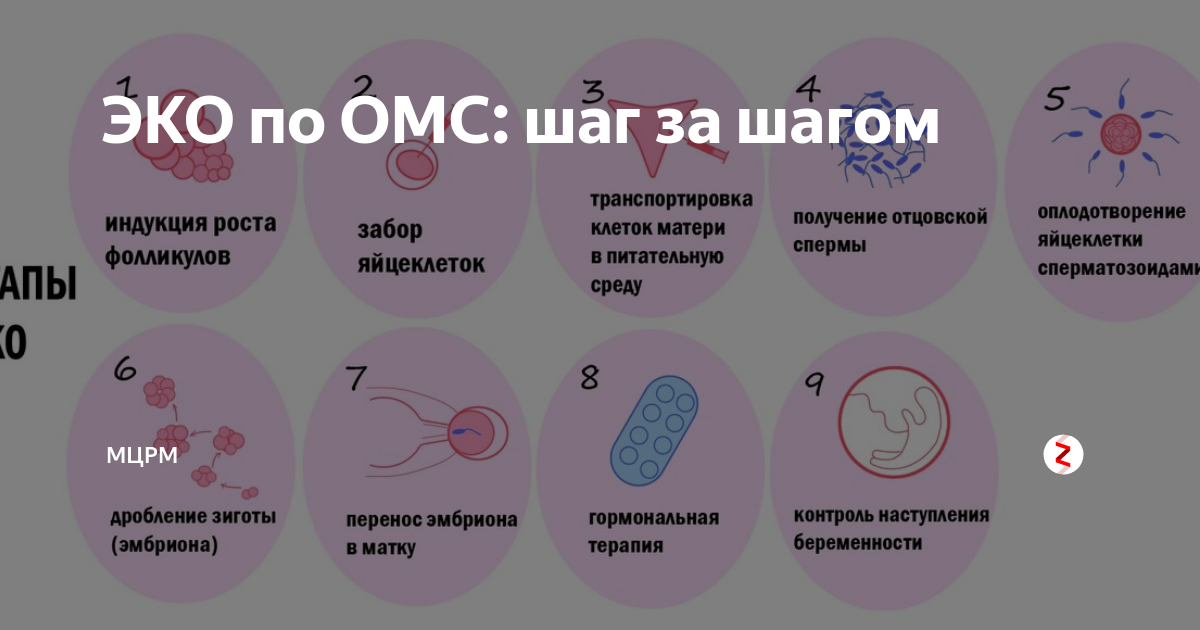 Процедура эко