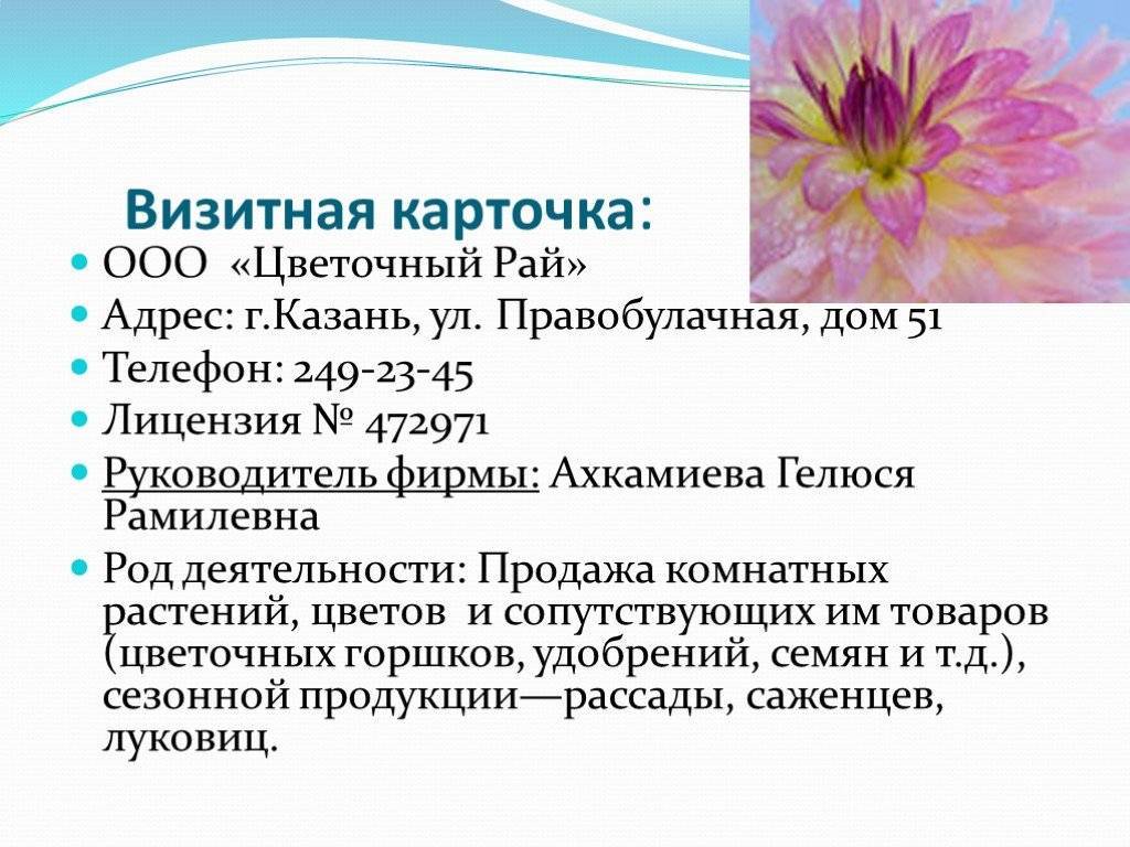 Цветочный бизнес: с чего начать, бизнес-план, отзывы владельцев - fin-az.ru