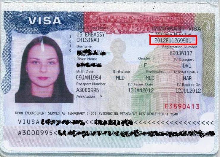 Что такое гостевая виза в сша и как она оформляется? подробно