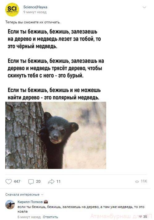 Ответы на русский медвежонок 1-11 класс 2022 год