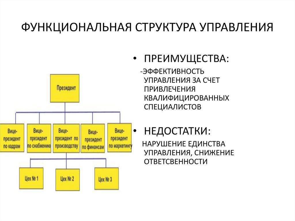 Организационная структура предприятия: схема, виды, плюсы и минусы