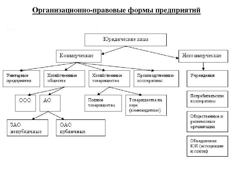 Организационно-правовые формы предприятий — что это такое и какие виды бывают в россии
