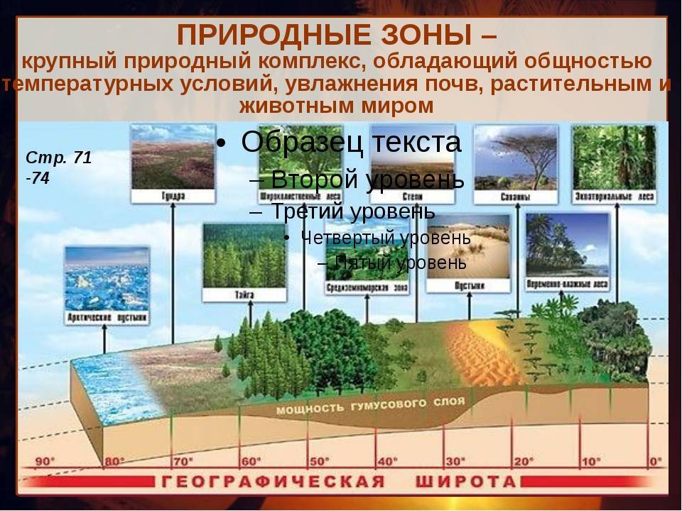Природный комплекс и его компоненты. разнообразие природных комплексов россии