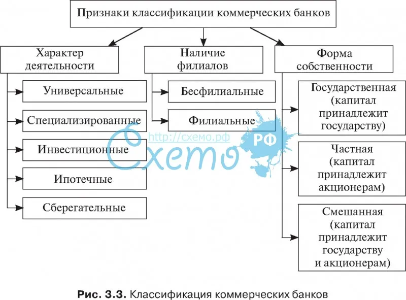 Классификация банков: определение, формы, виды и особенности :: businessman.ru