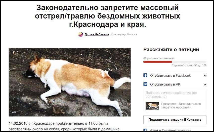 Налог на домашних животных в россии - когда введут, обзор законопроекта, размер и оплата
