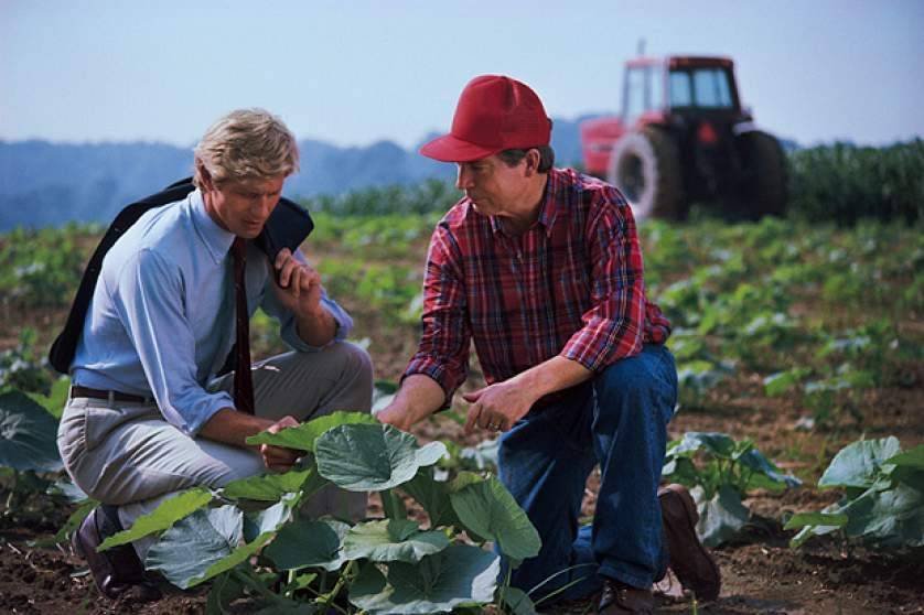 Фермерское хозяйство: с чего начать? - технология бизнеса