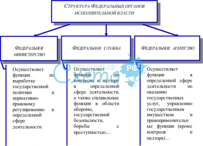 Система и структура федеральных органов исполнительной власти - идиатуллина к.с. система государственного управления