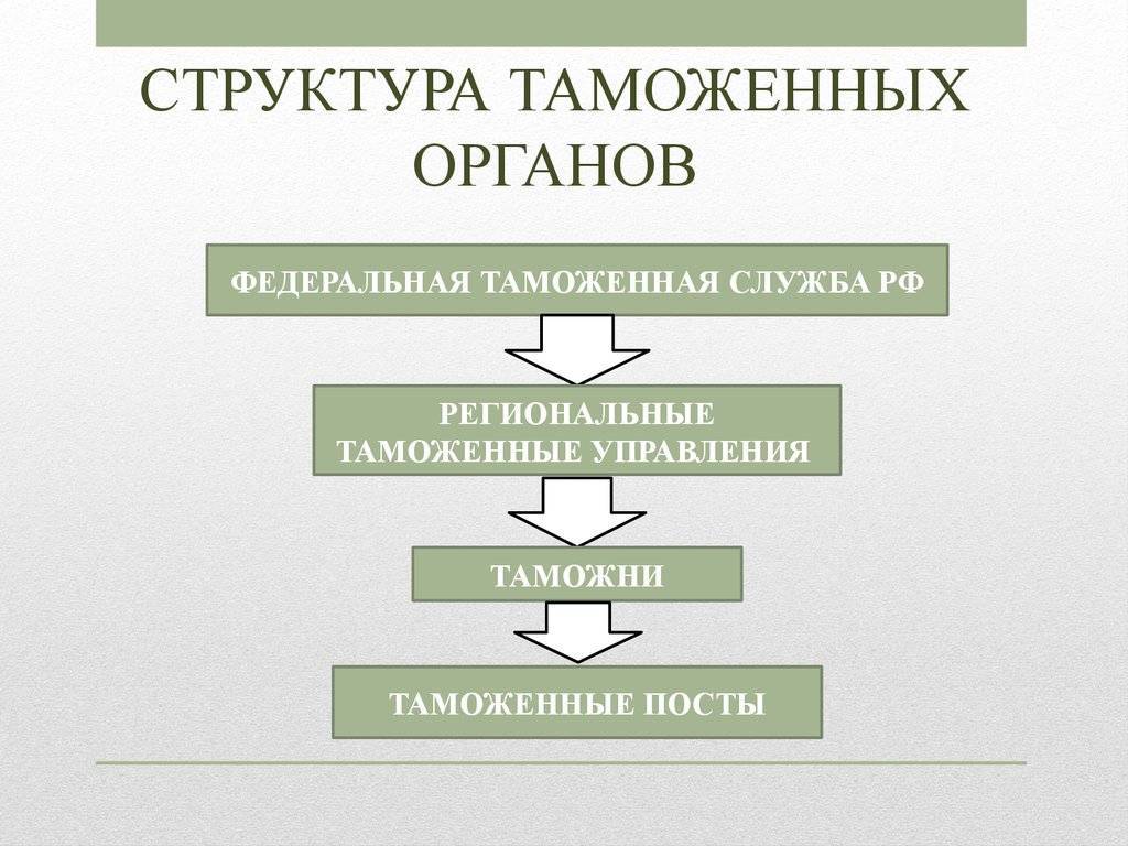Таможенные органы российской федерации: система и структура