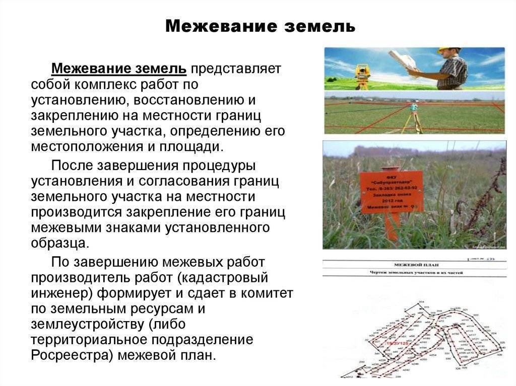 Полная инструкция межевания земельного участка: кто и как его делает? zhivem.pro